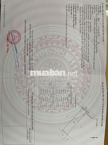 Bán Lô Đất Thỏi Cư Đường Số 8 xã Lý Nhơn huyện Cần Giờ TPHCM