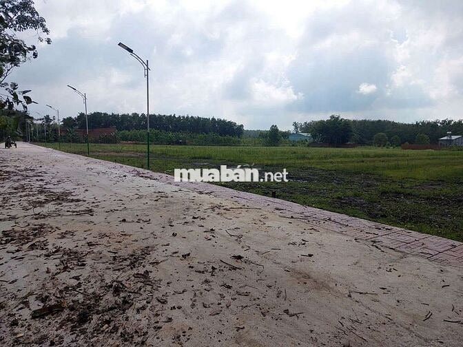 Mới mua lô đất đẹp tại Chơn Thành, tìm hàng xóm ở chung, giá cả hợp lý