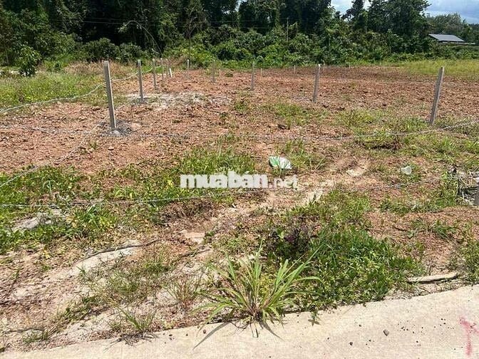 đất ngộp 215triệu 300m2 chủ cần bán
