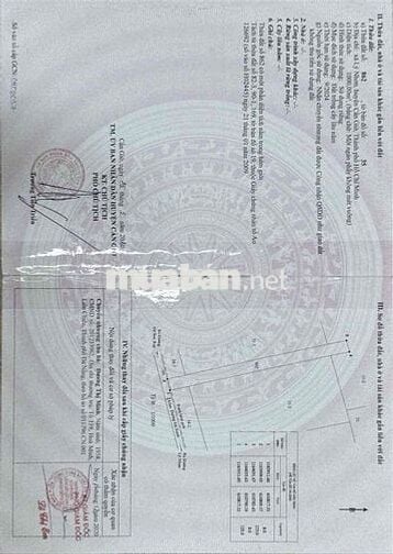 Bán Lô Đất Thổ Cư XC3 xã Lý Nhơn huyện Cần Giờ TPHCM