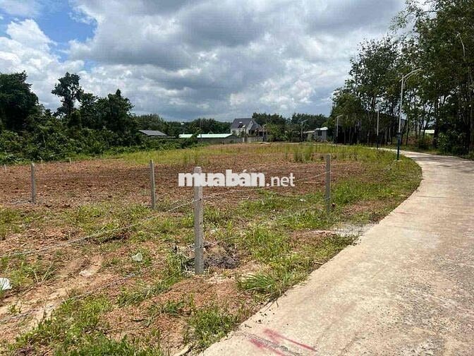 đất ngộp 215triệu 300m2 chủ cần bán