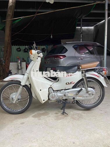 CẦN BÁN XE CUB CHO HỌC SINH
