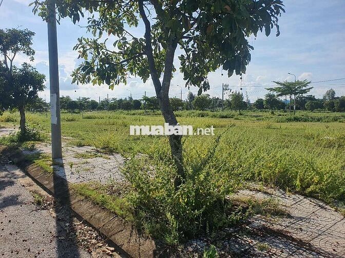 🌟 CƠ HỘI SỞ HỮU ĐẤT ĐẸP – KHU ĐÔ THỊ VIÊM MINH HÀ DỪA 🌟