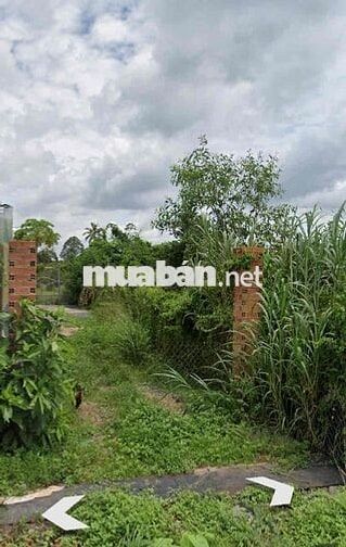 LÔ ĐẤT FULL THỔ CƯ-XÂY DỰNG TỰ DO- GIÁ CHỈ 920 TRIỆU