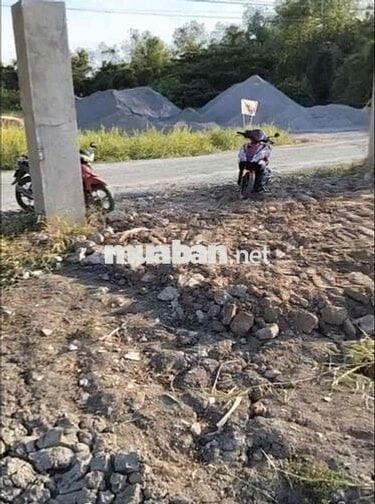 ĐẤT MẶT TIỀN 5544m xã Bình Hưng huyện Bình Chánh