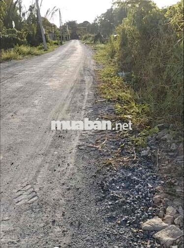 ĐẤT MẶT TIỀN 5544m xã Bình Hưng huyện Bình Chánh