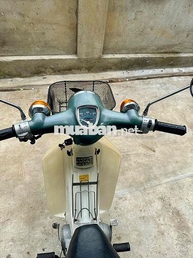 xe cub 81