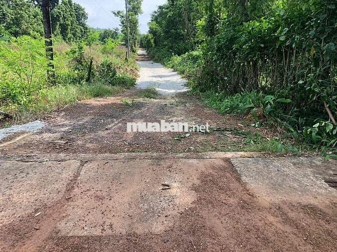 Bán đất nghỉ dưỡng 3000m2 chỉ 450tr/1 sào. View hồ mát mẽ quanh năm