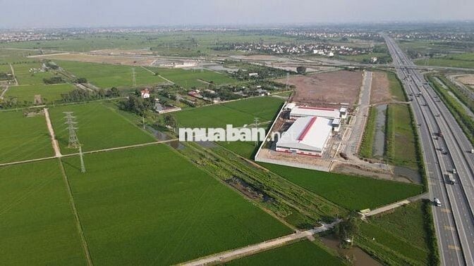 CƠ HỘI ĐẦU TƯ ĐẤT KHU CÔNG NGHIỆP - THANH TRÌ - HÀ NỘI