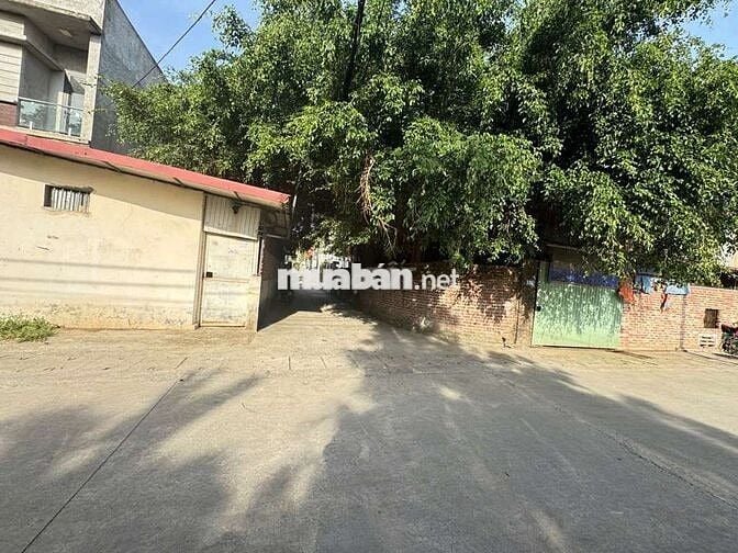 BÁN ĐẤT TRUNG TÂM KIM NỖ, 70M FULL THỔ CƯ GẦN ĐƯỜNG HOÀNG SA