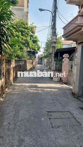 🏡 BÁN ĐẤT CỰC HIẾM – GIÁ RẺ NHẤT QUẬN HỒNG BÀNG 🏡 📍 Vị trí: Ngõ Trương