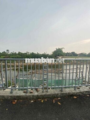 Bán đất Cổ Loa, 97 triệu/m2, 80m2, phù hợp đầu tư xây nhà ở