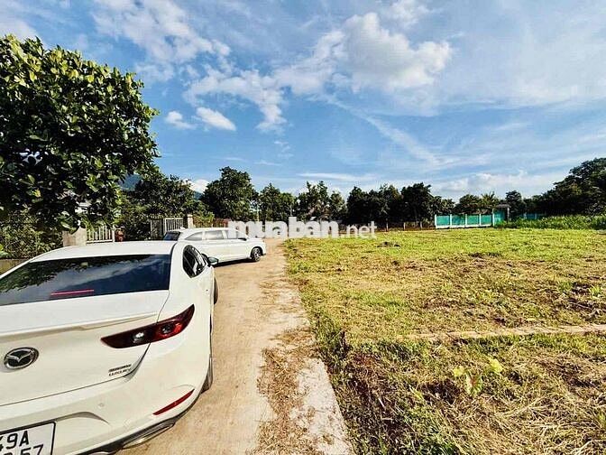 Bán Đất 250m² (Tách 2 Sổ) Ngay Khu Dân Cư Xuân Lộc – Gần Núi Chứa Chan