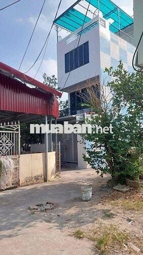 🏡 BÁN ĐẤT CỰC HIẾM – GIÁ RẺ NHẤT QUẬN HỒNG BÀNG 🏡 📍 Vị trí: Ngõ Trương