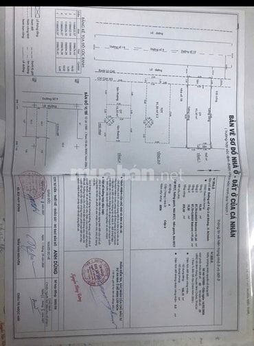 BÁN NHÀ ĐƯỜNG SỐ 9 KDC BÌNH HƯNG - BÌNH CHÁNH