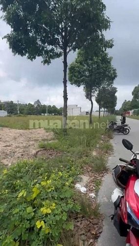 Bán đất Bàu Bàng đường D16 Chợ Đêm TP HCM chỉ 1 tỉ 650 sở hữu 150m