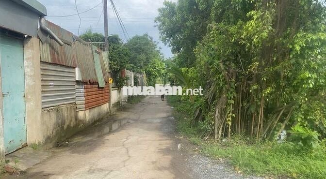 CHO THUÊ NHÀ VÀ ĐẤT TRỐNG 2 MẶT TIỀN CHÍNH CHỦ 1250M2