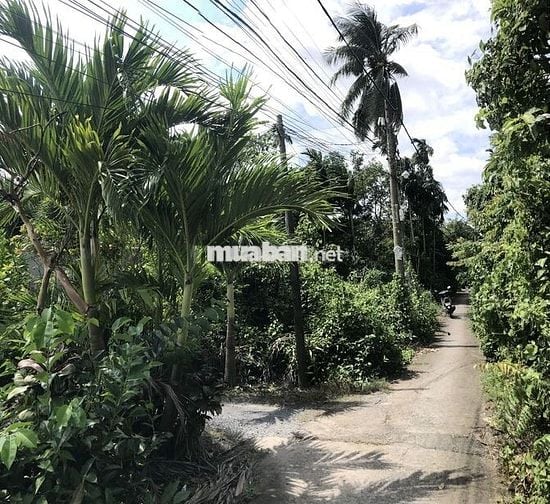 Chính chủ đất Nhị Bình 300m2, thổ cư, cách mặt tiền Bùi Công Trừng 50m
