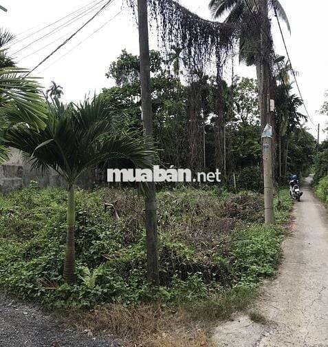 Chính chủ đất Nhị Bình 300m2, thổ cư, cách mặt tiền Bùi Công Trừng 50m