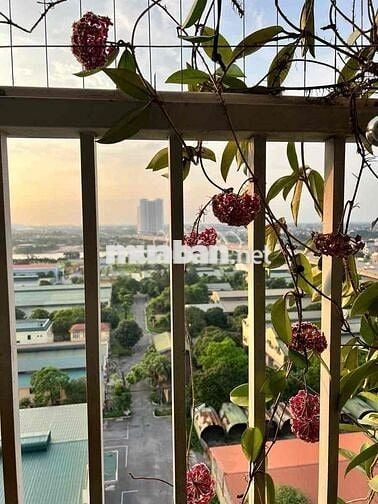 ✨🏡Siêu phẩm❗️ BÁN CĂN HỘ 2PN CC QUÂN ĐỘI K33 -NGỌC THUỴ, Giá hơn 4tỷ