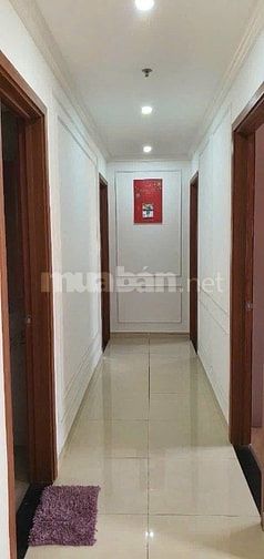 Ruby Garden, Nguyễn Sỹ Sách, TB, 120m2, 3PN, 2WC, Nội thất, 11tr5/th