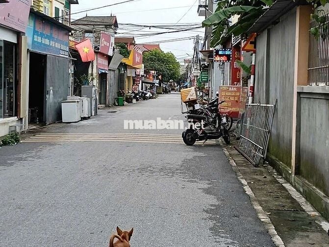 📌 SIÊU PHẨM 60M² –TRỤC CHÍNH KINH DOANH HƯƠNG ĐÌNH, MAI ĐÌNH, SÓC SƠN