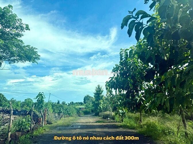 Đất sào chỉ 90tr/ sào tại Ea mdroh- Cư mgar- Daklak
