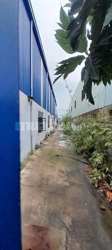Bán nhà xưởng , xây dựng : 5.000m2, KCN Đức Hòa, Long An,PCCC tự động 