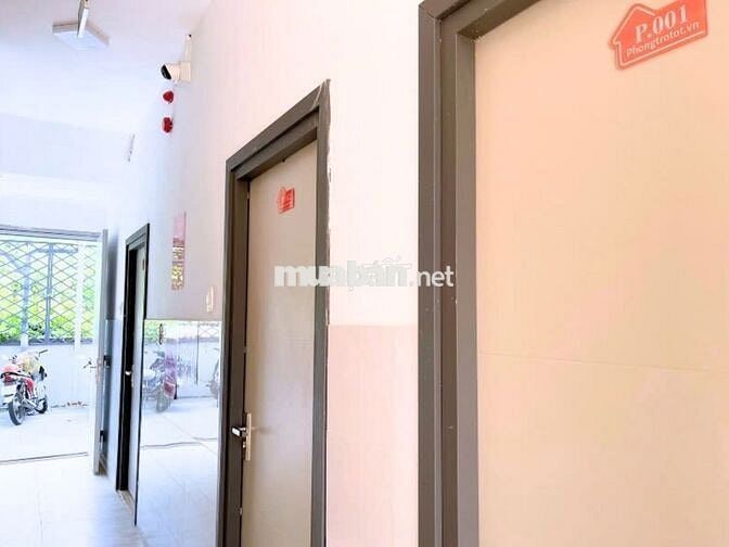 20 Tỷ 8 còn TL, 160tr/tháng, 5 Tầng, cuối Lê Trọng Tấn