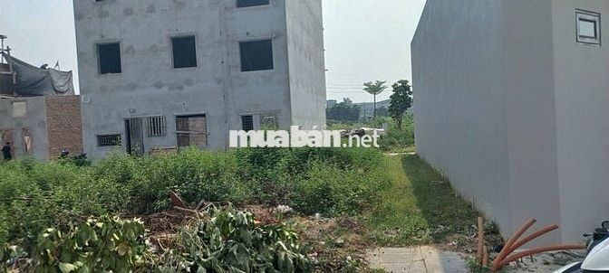 🔥 TĐC NGUYÊN KHÊ – PHÚC THỊNH – Ô TÔ TRÁNH – DT 50M² – GIÁ CHỈ 5,3 TỶ