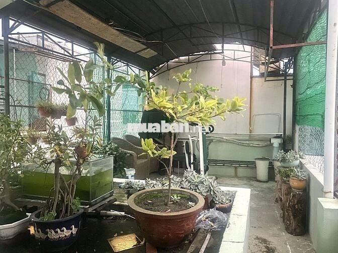 CHO THUÊ NHÀ 3 PHÒNG NGỦ CÓ NỘI THẤT HẺM TTTP GIÁ 7 TRIỆU/THÁNG