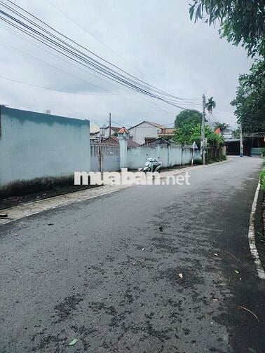 BÁN 750m2 ĐẤT,TÂN THÔNG HỘI,CỦ CHI,GẦN QUỐC LỘ 22,SỔ RIÊNG,CÓ THỔ CƯ.
