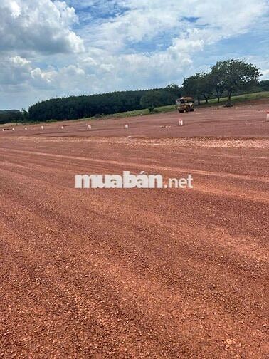 Em đang còn 1 cặp liền kề 400m2 có 100m thổ cư giá 490tr