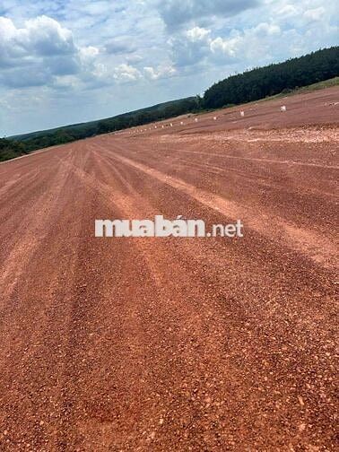 Em đang còn 1 cặp liền kề 400m2 có 100m thổ cư giá 490tr