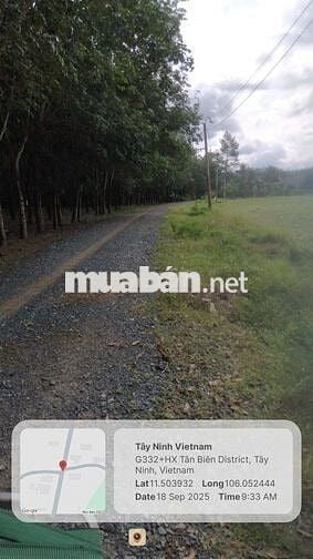 Đất nền đã có sổ hồng 818.7m2 Tân Biên, Tây Ninh