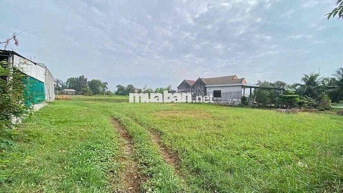 🌈 2657m đất chuyển full thổ-làm kho bãi, nhà vườn,...