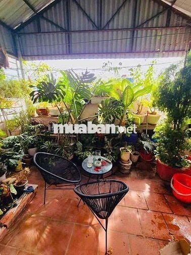 Nhà Dân Xây Mới phố Tôn Đức Thắng 35m, 6 Tầng căn góc gần phố
