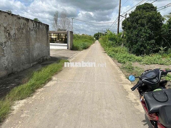 🌈 503m² đường Huỳnh Văn Phi xe tải vi vu
