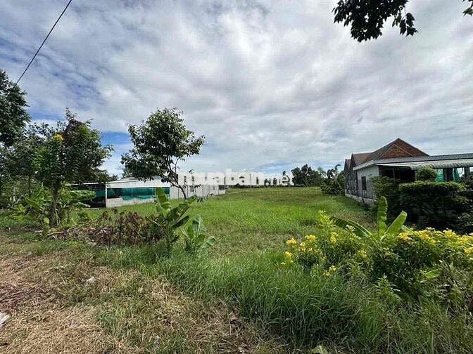 🌈 2657m đất chuyển full thổ-làm kho bãi, nhà vườn,...