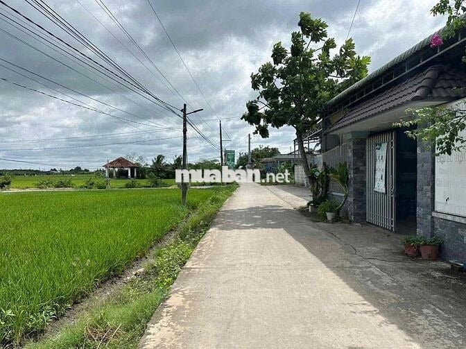 🌈 503m² đường Huỳnh Văn Phi xe tải vi vu