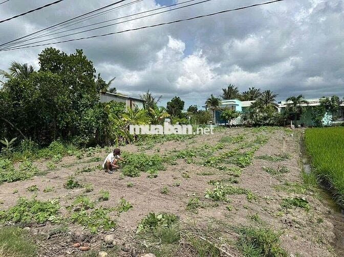 🌈 503m² đường Huỳnh Văn Phi xe tải vi vu