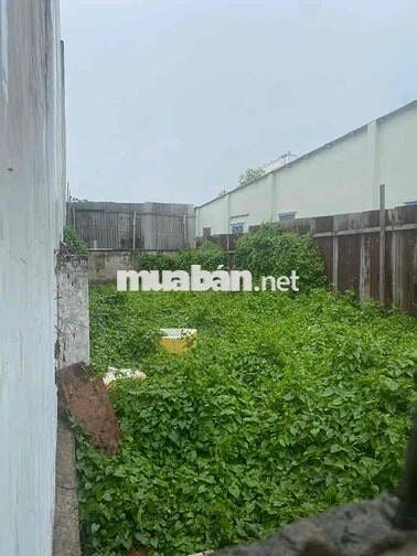 BÁN ĐẤT MẶT HẺM HUỲNH TẤN PHÁT, FULL THỔ CƯ, KDC HIỆN HỮU, QUẬN 7