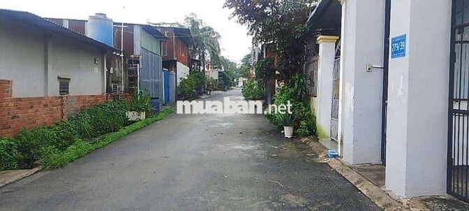 Bán đất + nhà cấp 4 chính chủ, phường Tân Bình, Dĩ An Bình Dương