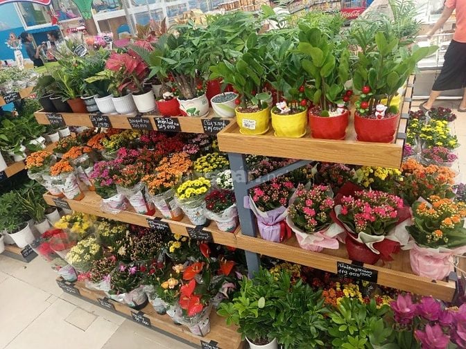 Dịp Trung Thu- Cửa Hàng Tiện Lợi Nhận 5 Nhân Viên Đi Làm Luôn