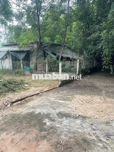 Cần bán đất hoà phước hoà xuân giá rẻ