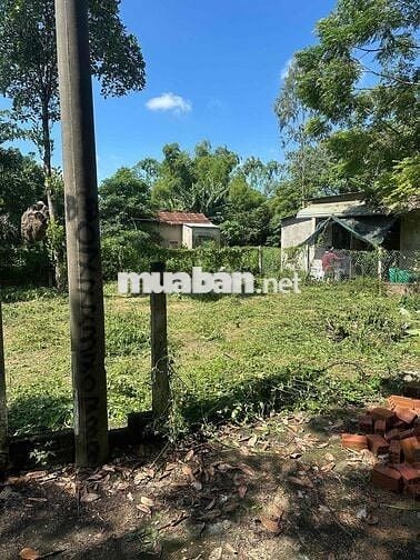 Cần bán đất hoà phước hoà xuân giá rẻ