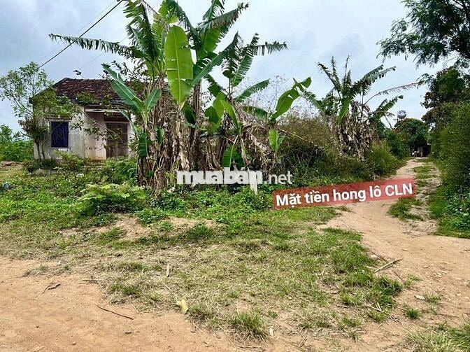 ĐẤT SÀO CÓ THỔ CƯ- NGAY DÂN CƯ