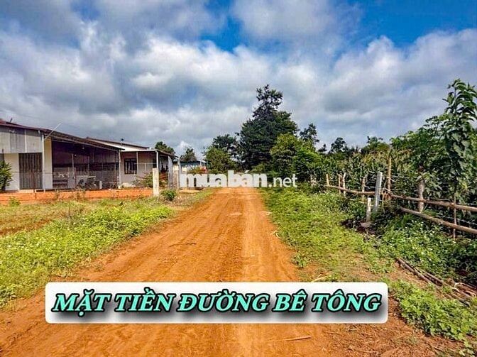 FULL THỎ CƯ TẠI DRAY BHANG, CƯ KUIN, DAKLAK