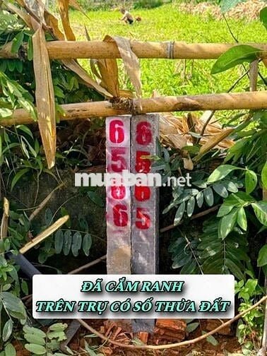 FULL THỎ CƯ TẠI DRAY BHANG, CƯ KUIN, DAKLAK