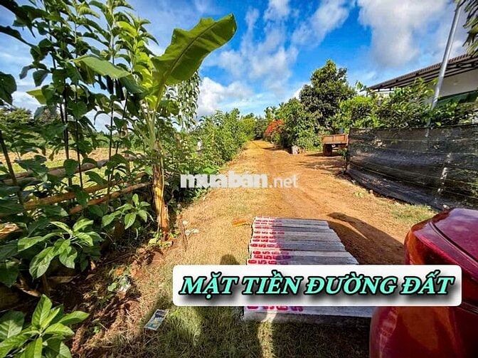 FULL THỎ CƯ TẠI DRAY BHANG, CƯ KUIN, DAKLAK